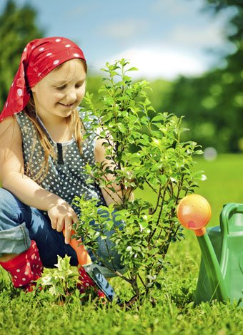 plantar un árbol con los niños